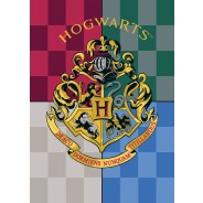 Flis dekica Harry Potter - NOVO!